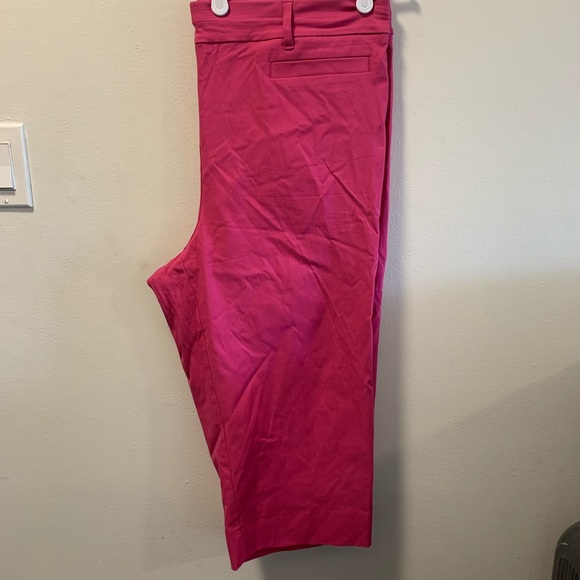 Universal Fit Savvy Pink Capris Pant Sz 20 - Picture 2 of 11